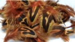 Irish Fly Supplies Irish hen pheasant breast feathers (Dyed Solar Flare 3g)