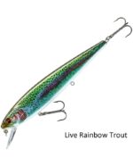 Daiwa Minnow 160SR Live Rainbow