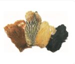 Veniard Indian Hen Capes