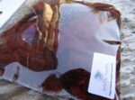 Irish Fly Supplies Guinea Fowl Feathers (Fiery Brown)