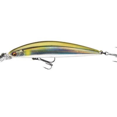 Daiwa Tournament Current Master SR (shallow runner) 