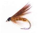 Winged Fiery Brown Size12