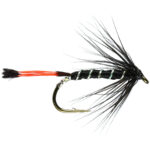 Black Pennal size 12