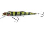 Daiwa PX Minnow 160SR live Perch