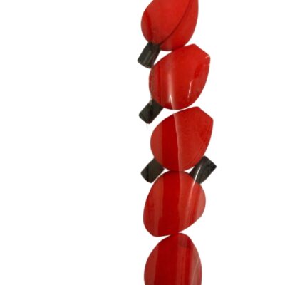 Fly Fish Indicators (Red)