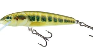 Salmo Minnow 7g Sinking (Minnow)