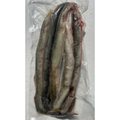 Frozen Fishing Baits