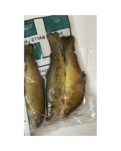 Sea Freeze Brown Trout