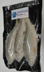 Sea Freeze Medium Roach