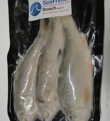 Sea Freeze Medium Roach