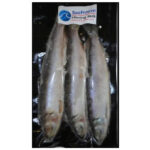 Sea Freeze Herring Jack