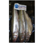 Sea Freeze Large Smelt