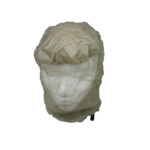 Highlander Micro Headnet Midge Net
