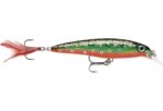 Rapala X-Rap 7g (Brook Trout)