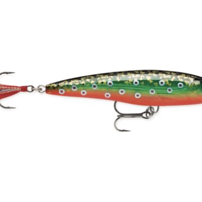 Rapala X-Rap 7g (Brook Trout)