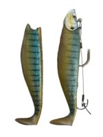 Paladin Blue Perch (66g)