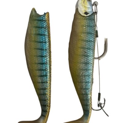 Paladin Blue Perch (66g)